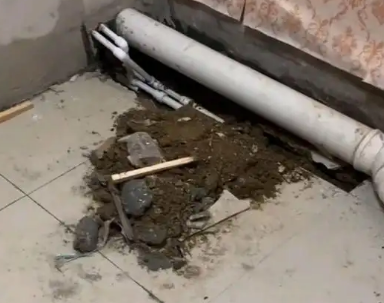 枣庄市卫生间漏水检测哪家好