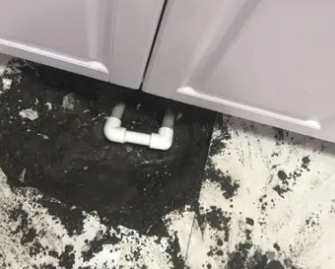 枣庄市查漏水哪家好