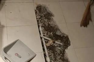 枣庄市卫生间漏水检测电话